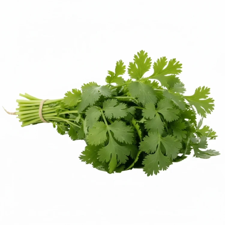3ecc0758ac429df6e5c0209d073bebd0.png
