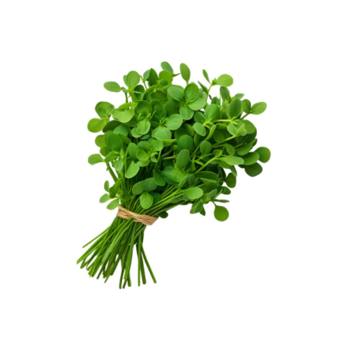 e32a06b6a222971feeca310c0720c15f.png