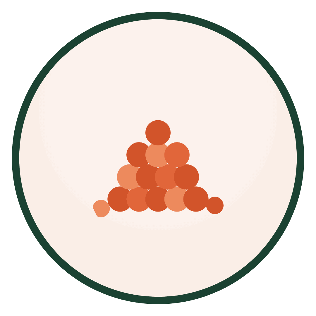 Lentils & Legumes